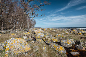 Patrik-Ronkainen-3