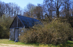 Marianne-Hellstrand-3