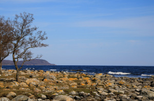 Marianne-Hellstrand-1