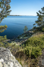 Patrik-Ronkainen-1