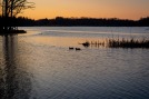 Michell-Gronlund-7