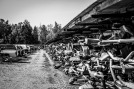 Patrik-Ronkainen-11