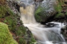 Jenny-Hansson-2