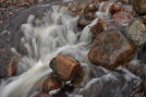 Jenny-Hansson-3