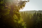 Michell-Gronlund-1