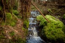 Michell-Gronlund-4