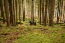 Michell-Gronlund-5