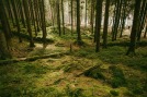 Michell-Gronlund-6