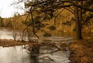 Peter-Roadson-2